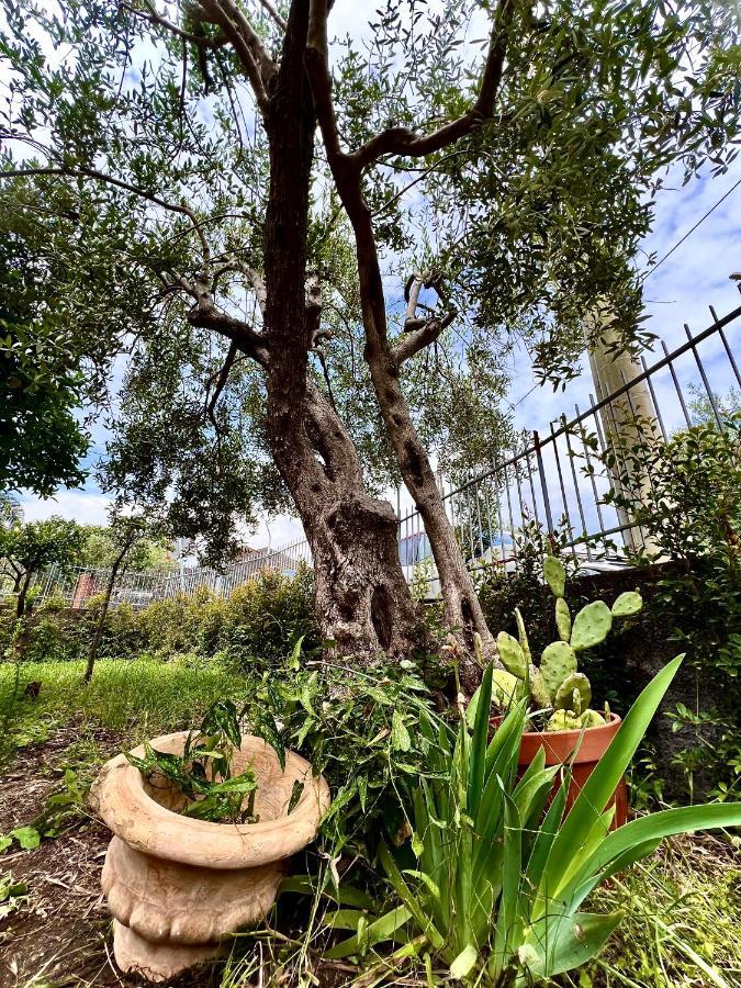 Casa Vacanze "Sautufao" Santa Venerina Buitenkant foto